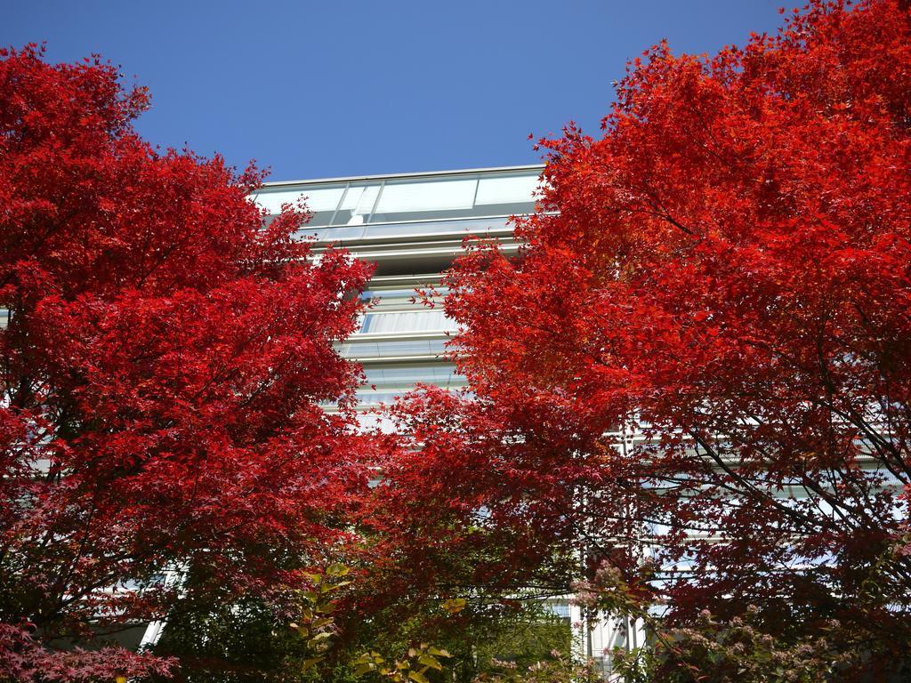 Kikusuitei Higashimurayama Buitenkant foto